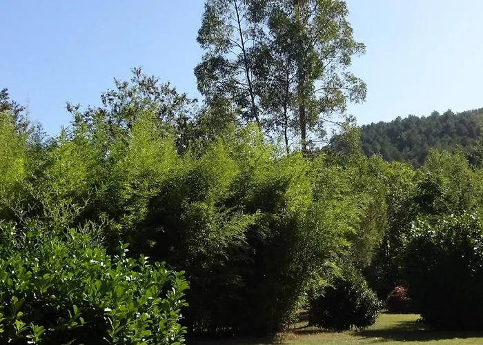 Ty Calon Lan بيت للعطل *